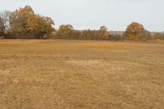 The site will be transformed into a wetland