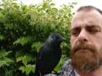 Matt Dillon with his pet jackdaw, Jack