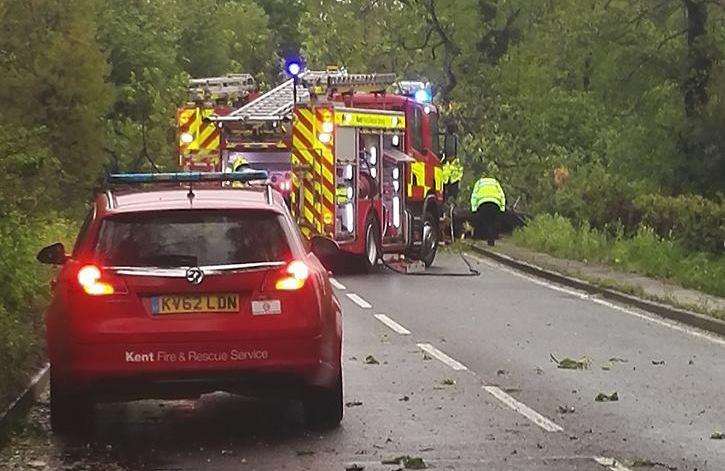 A tree fell on car on Canterbury Road in Herne