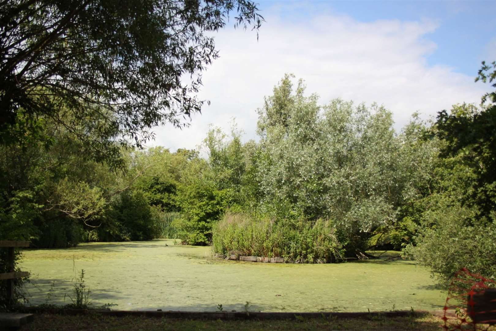 Gazen Salts Nature Reserve in Sandwich is a great place to go for a walk