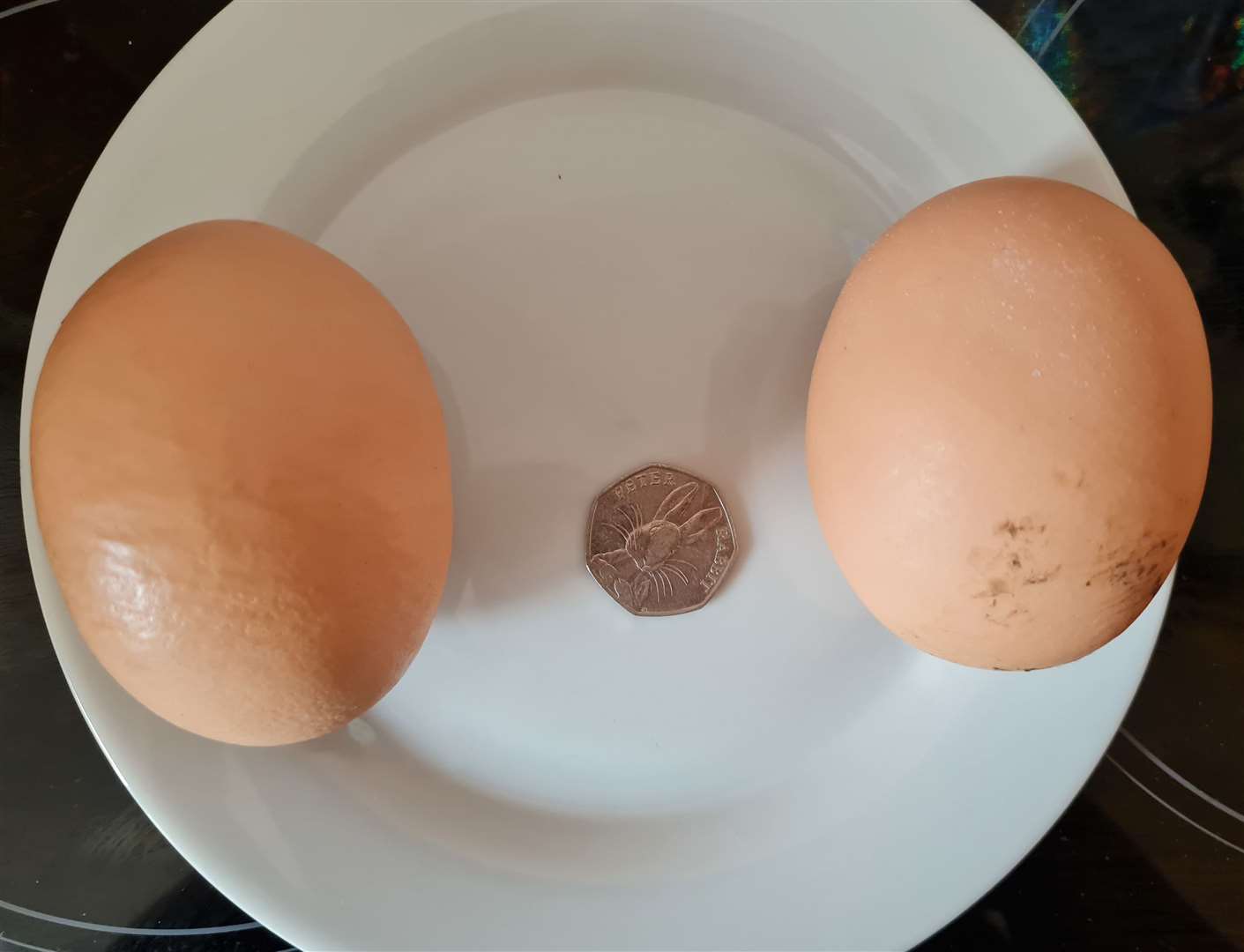 A 50 pence piece gives a sense of scale. Picture: Samantha Oliver