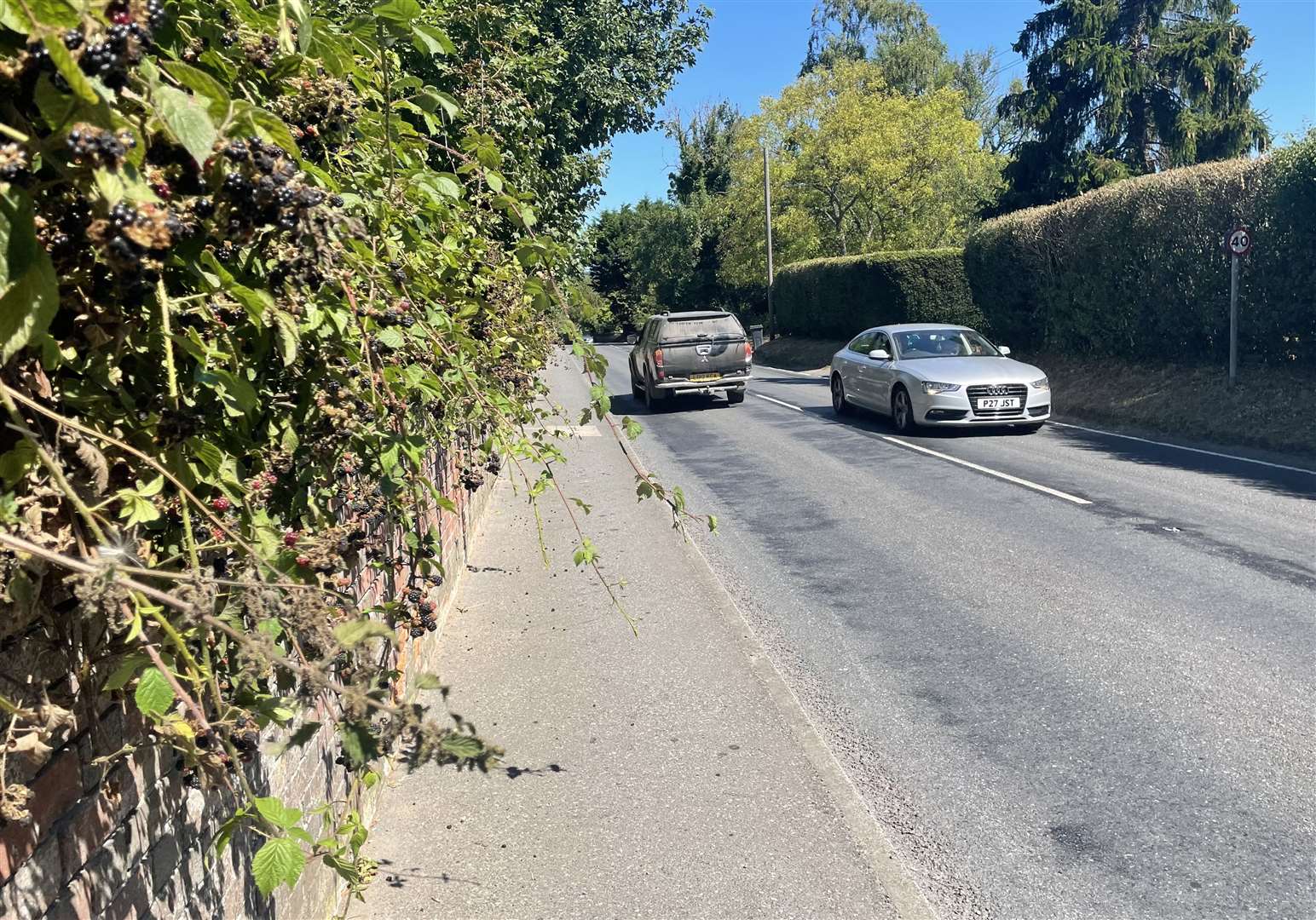 The path is overgrown in several spots