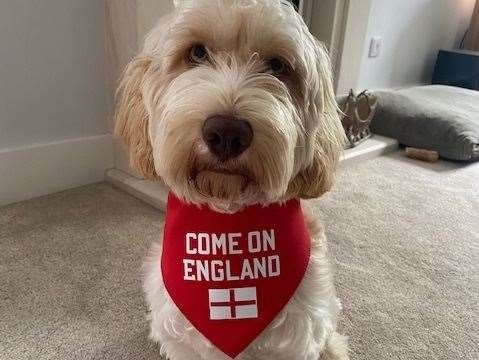 Nine-month old Max with his England bandana