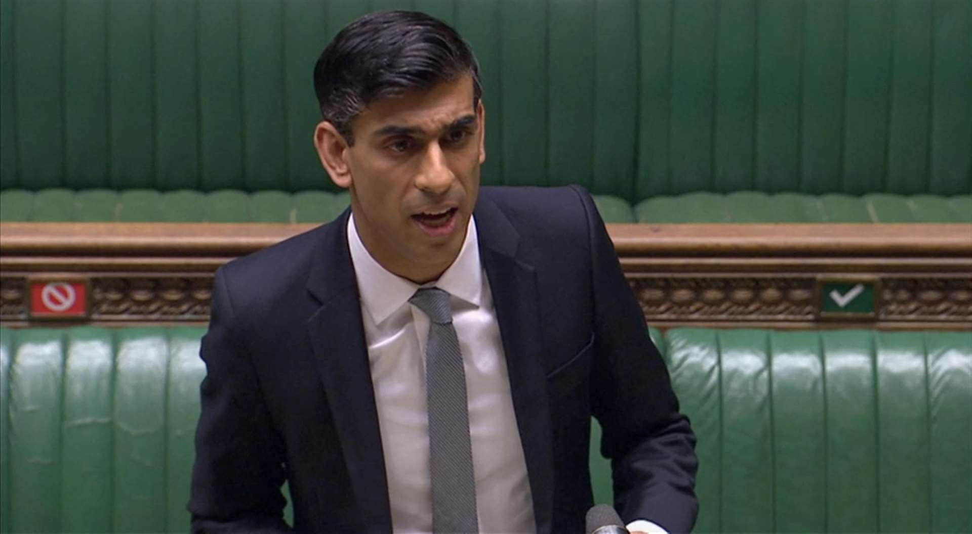 Chancellor Rishi Sunak confirmed plans for a £2 billion green homes grant (PA)