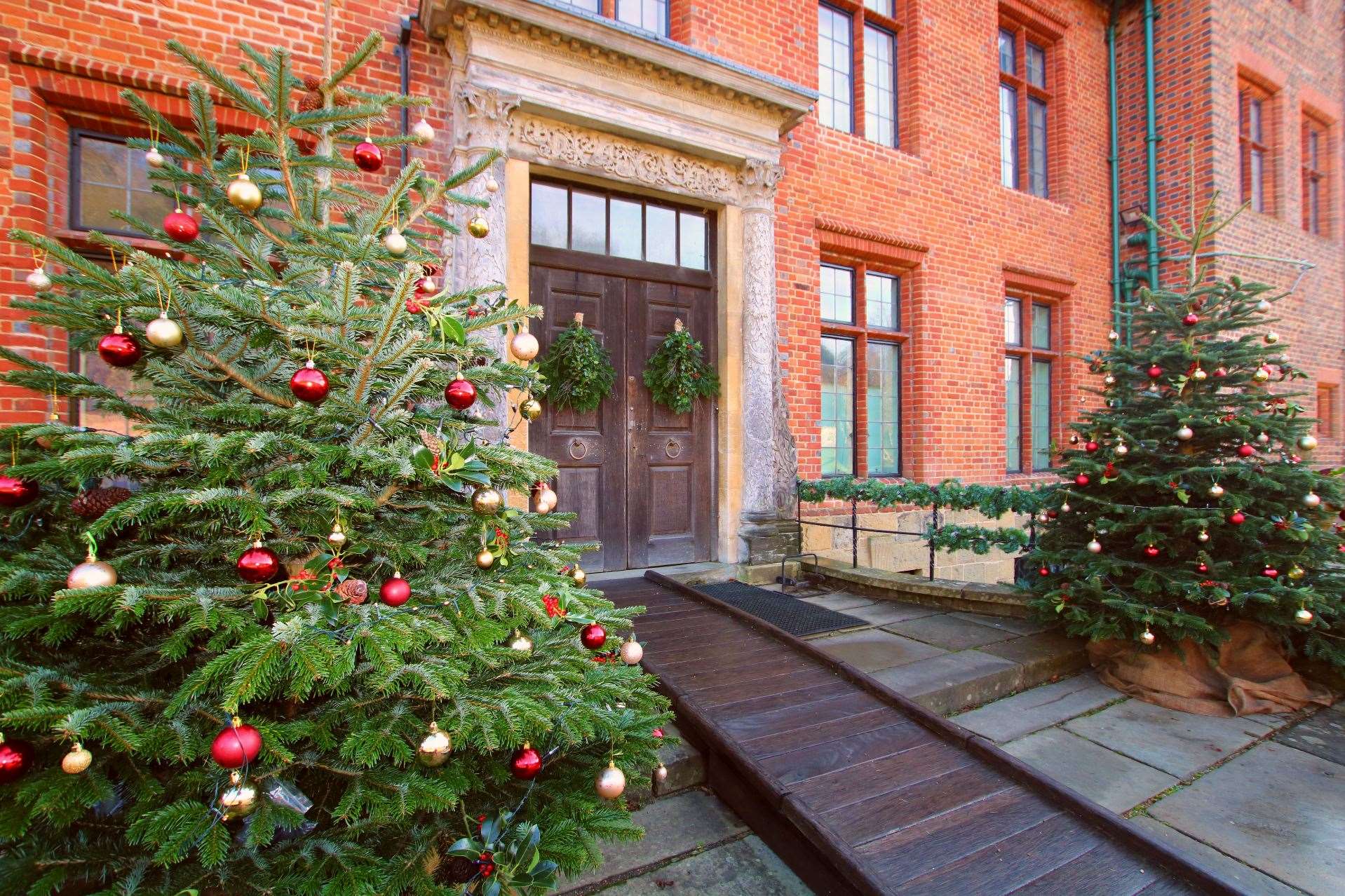 Christmas trees at Chartwell Picture: National Trust Images/Henry Jarvis