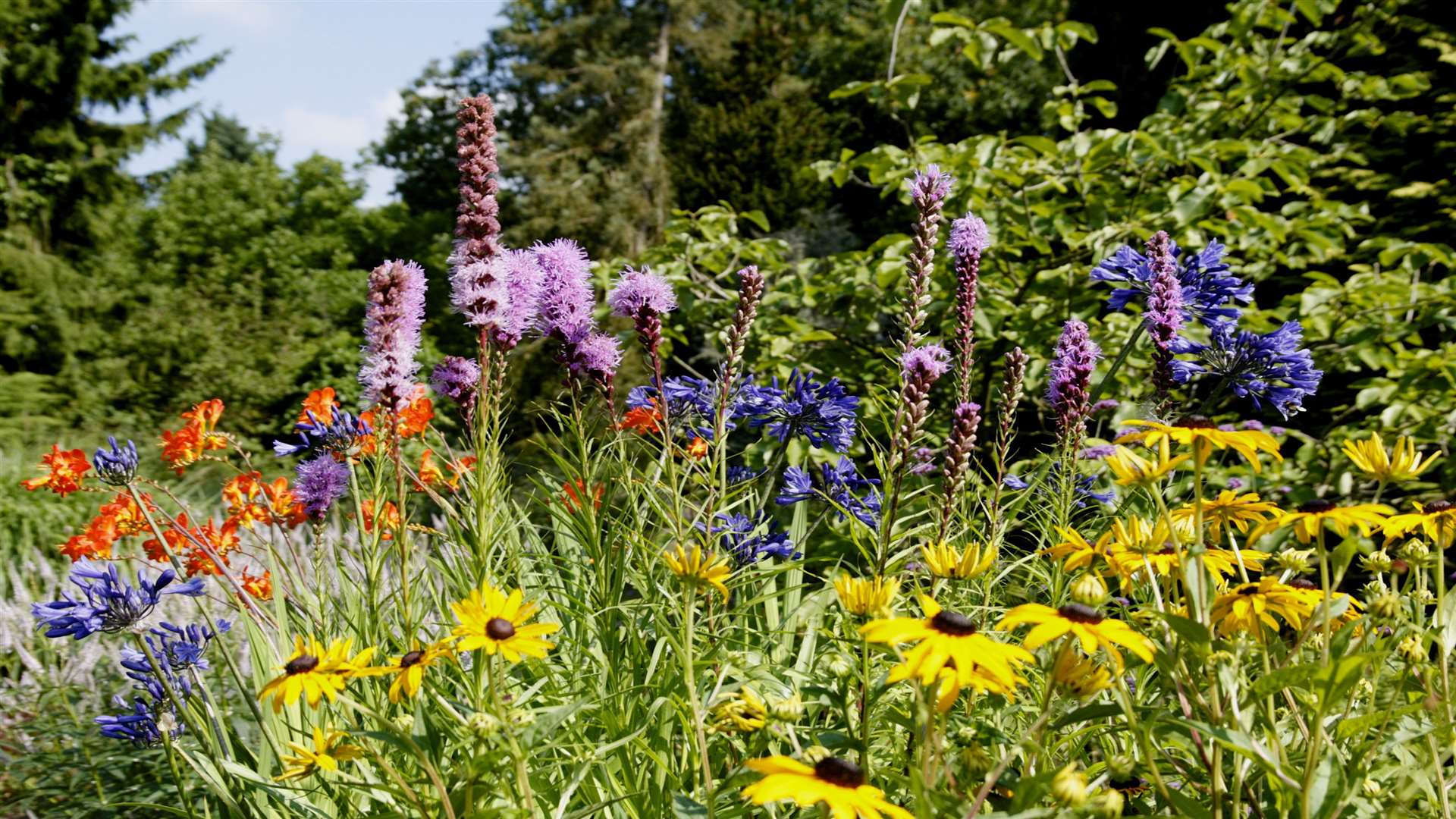 Great Comp Garden's Summer Show