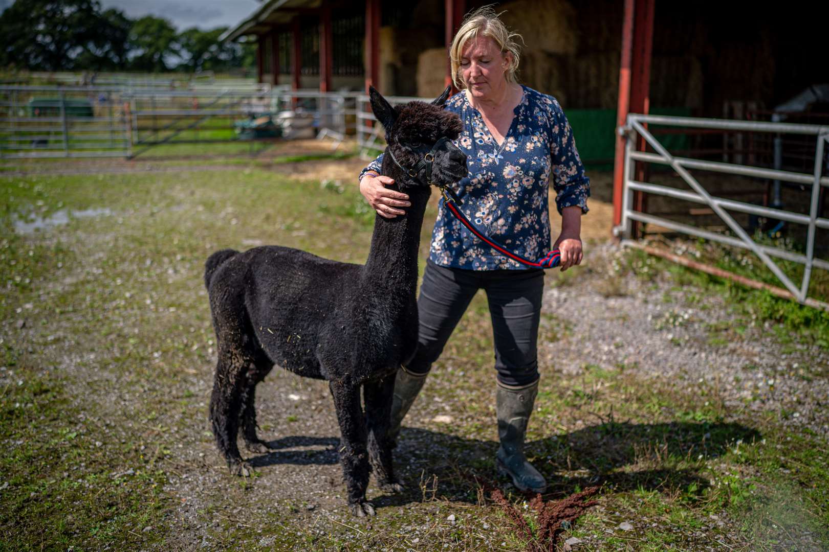 Helen Macdonald in the bio-secure pen with Geronimo (Ben Birchall/PA)