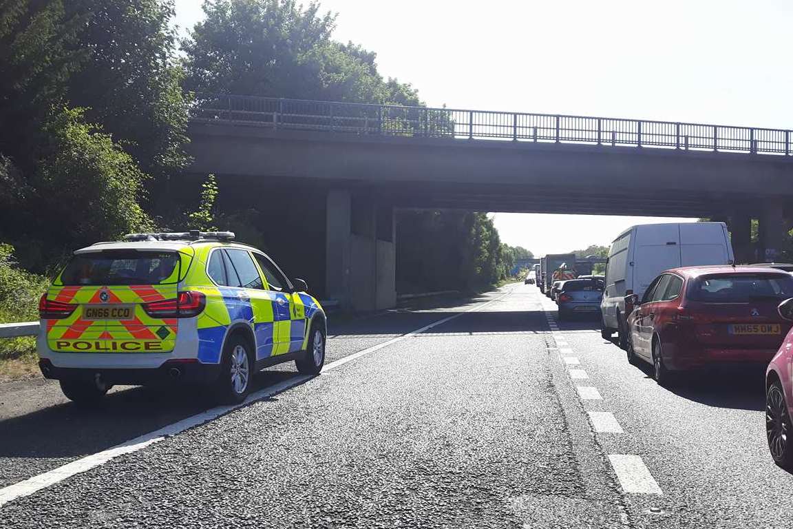 A number of police cars have been called. Picture: Katie Davis