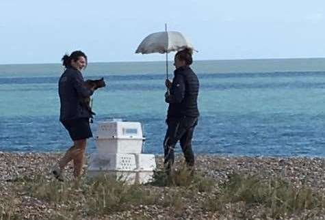 Crew members take care of the cats ahead of filming Picture: Ann Priestland