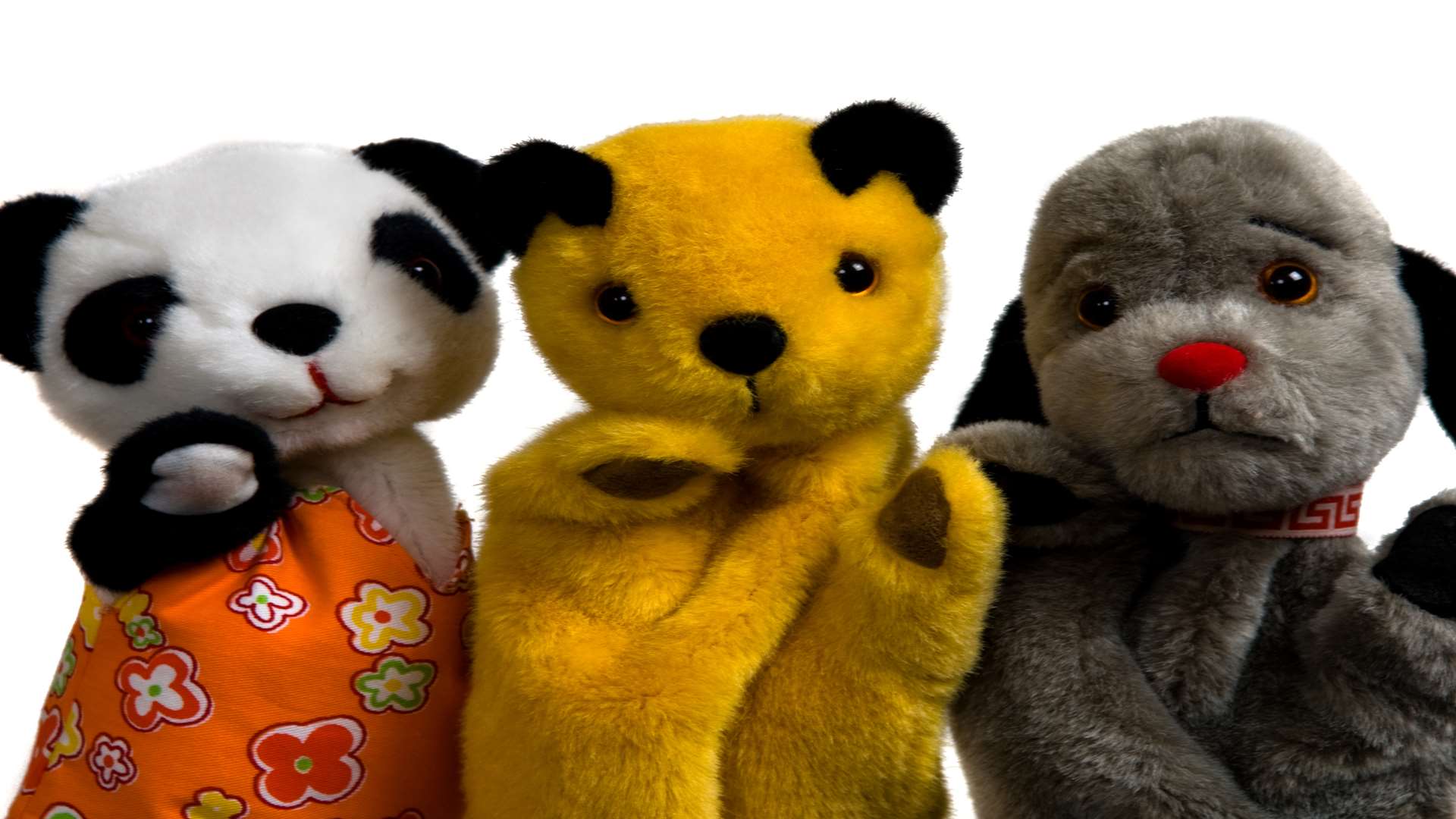 Sooty will be at Kent Life