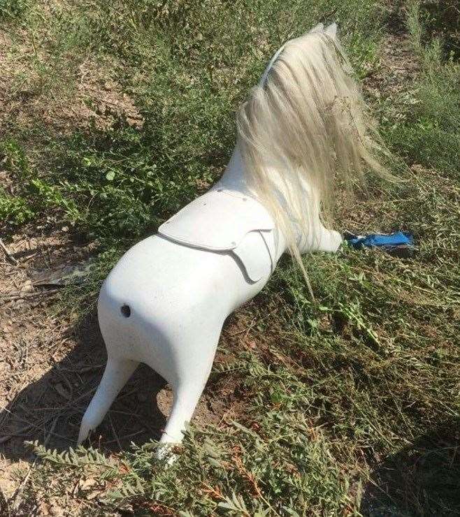 Faustus the rocking horse ends up in a field