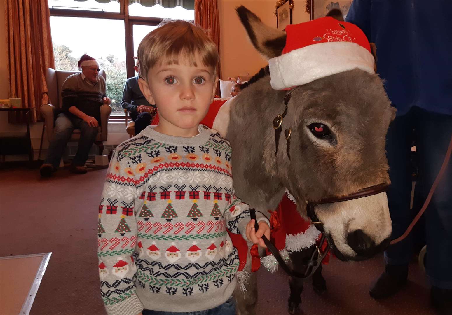 Two-year-old William Milton with the donkey