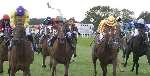 CLOSE RUN THING: The closing stages of The Kent Messenger Group Handicap Stakes at last year's event. Picture: PAUL DENNIS