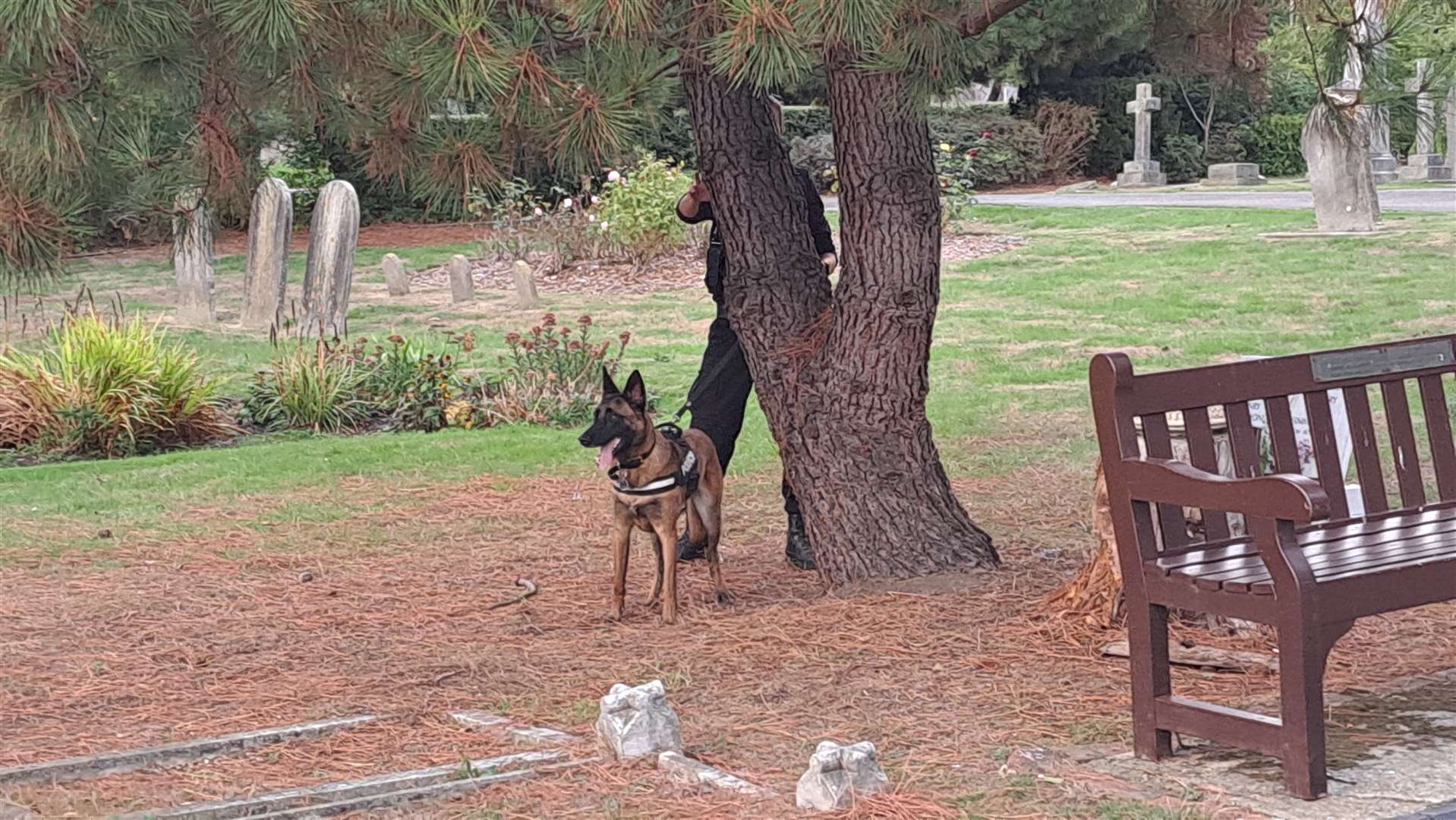 Canine units have been deployed in Herne Bay Cemetary