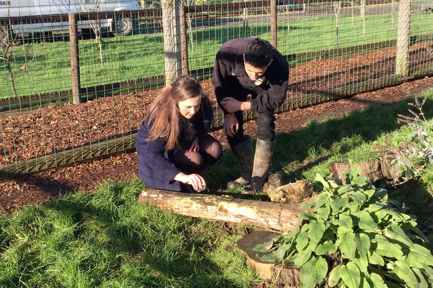 Josie Hannett with keeper Ricky Reino spraying Intimately Beckham on a log in the leopard's enclosure.