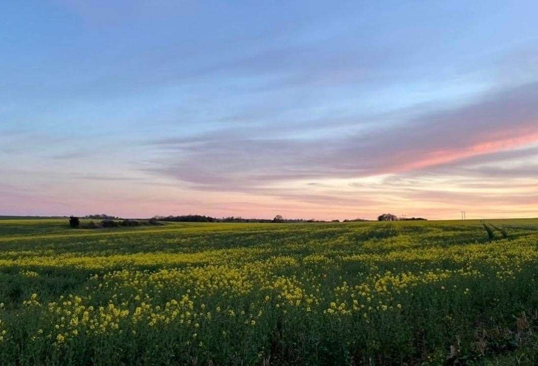 The proposed field for the airstrip. Picture: Chocks Go Away