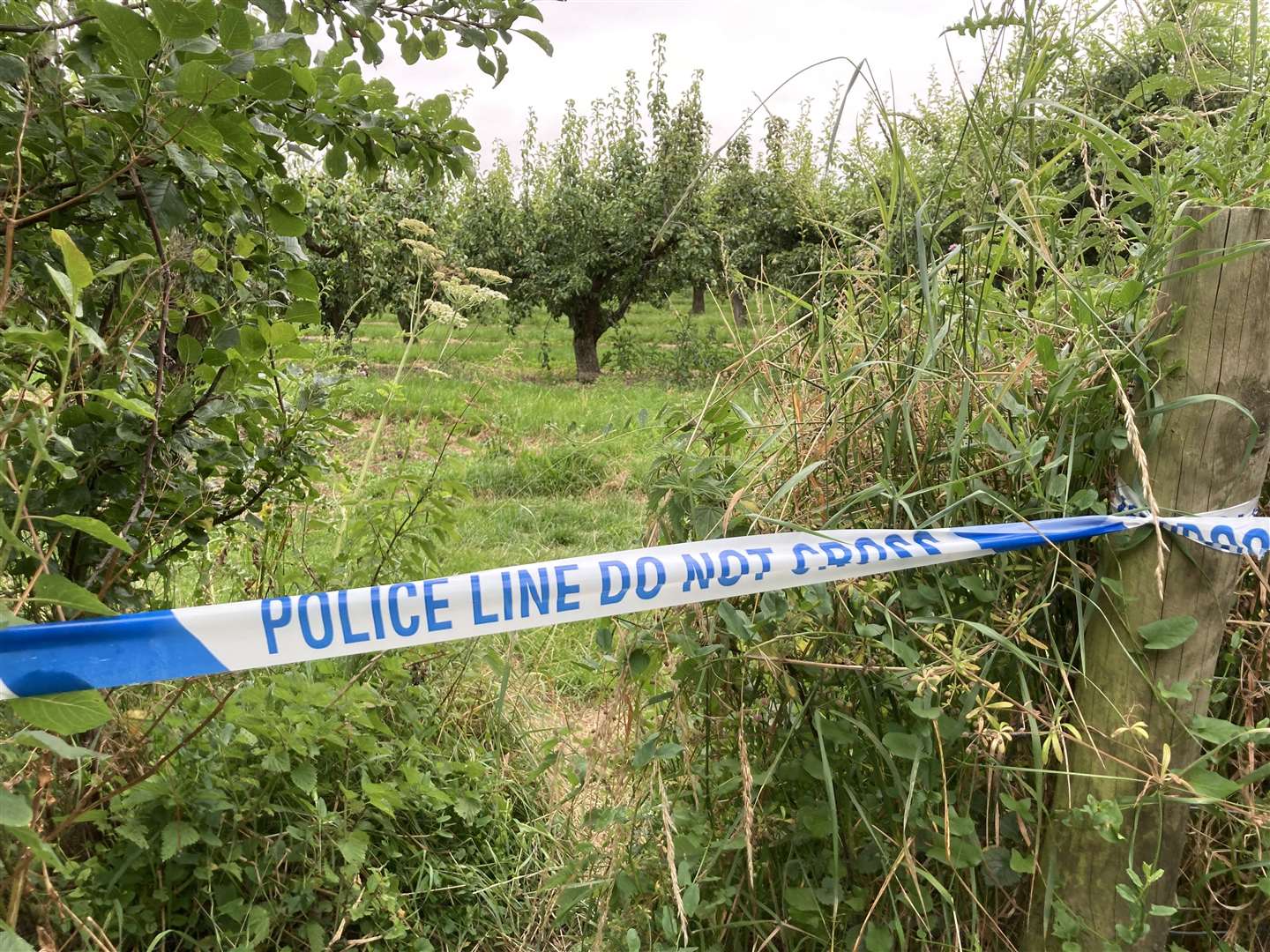 Police cordon off fields off Highstead Road in Sittingbourne after the attack