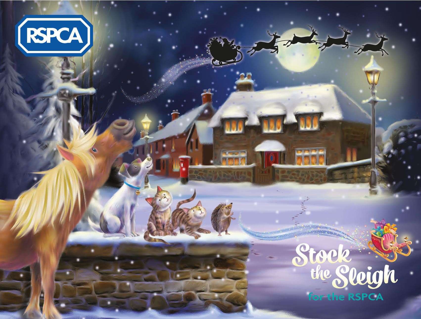 The RSPCA is appealing for donations to help animals in need this Christmas