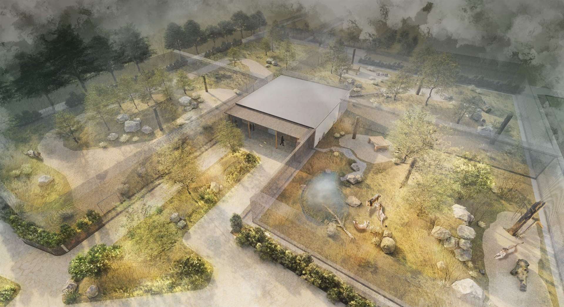 How the Lion Rescue Centre at The Big Cat Sanctuary in Smarden could look. Picture: The Big Cat Sanctuary