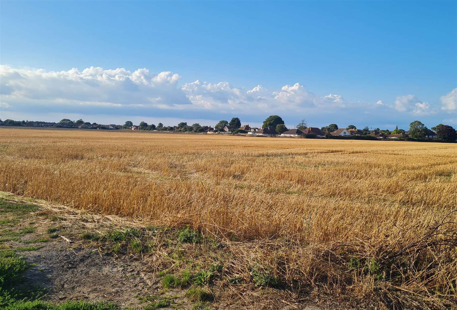 The Birchington farmland set to be built on