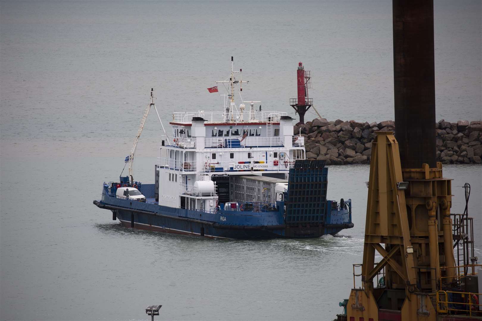 Live exports being shipped to the continent aboard the Joline