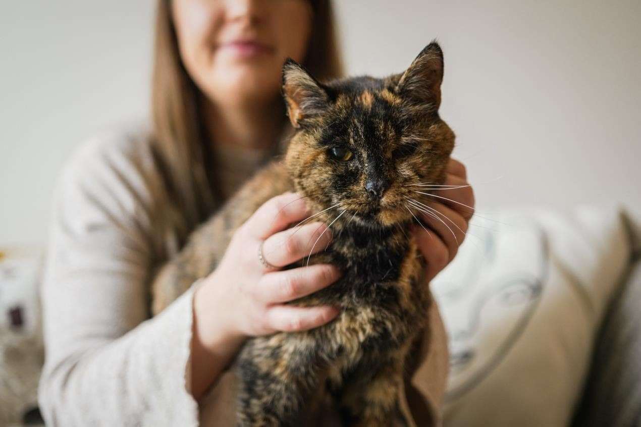 World's oldest cat Flossie, 26, with her new owner Vicki Green. Picture: Cats Protection