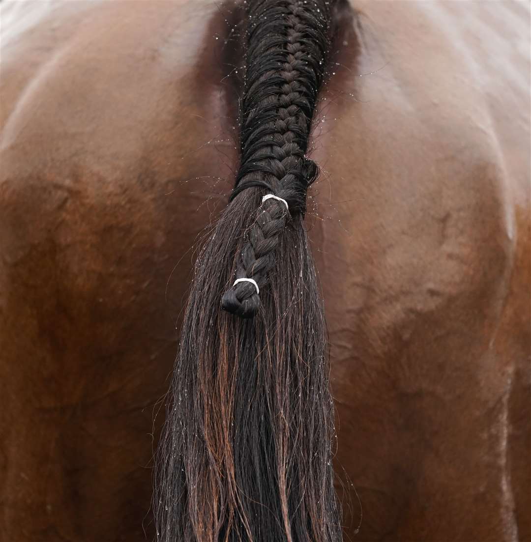 A horse’s tail (Alan Crowhurst/PA)