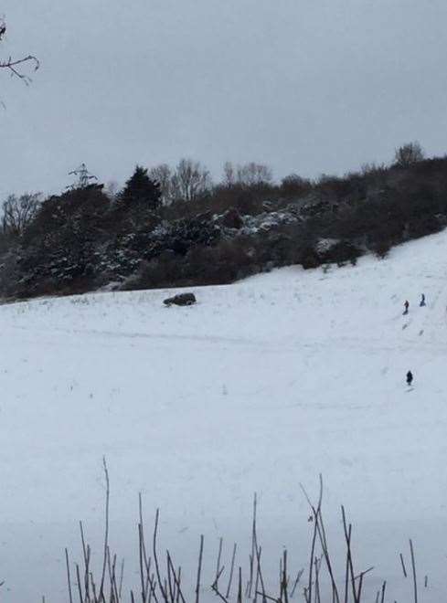 Sledgers at the St Clare estate