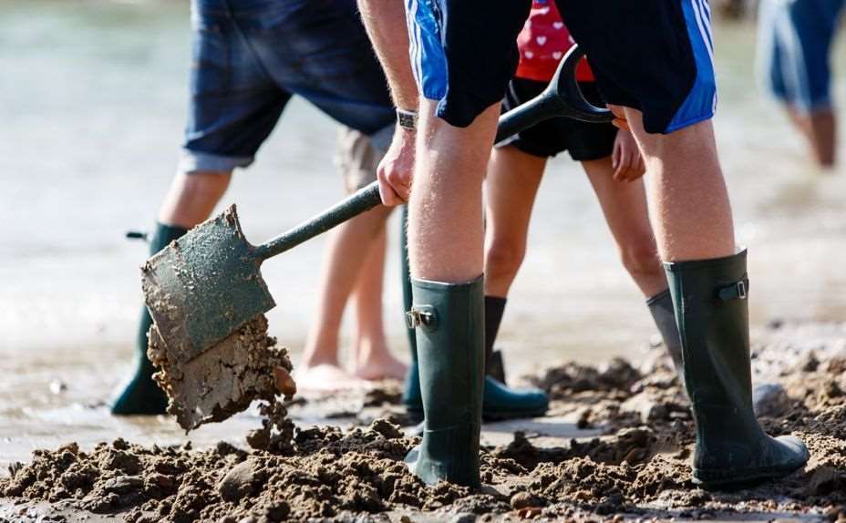 Whole families searched the sands