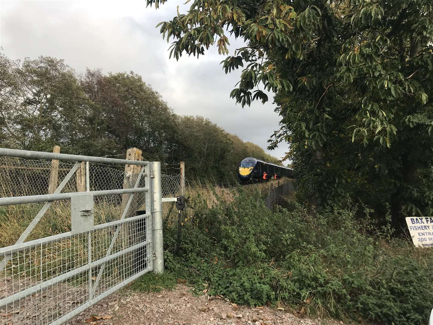 The train at the level crossing at Frognal Farm, Lower Road, Teynham