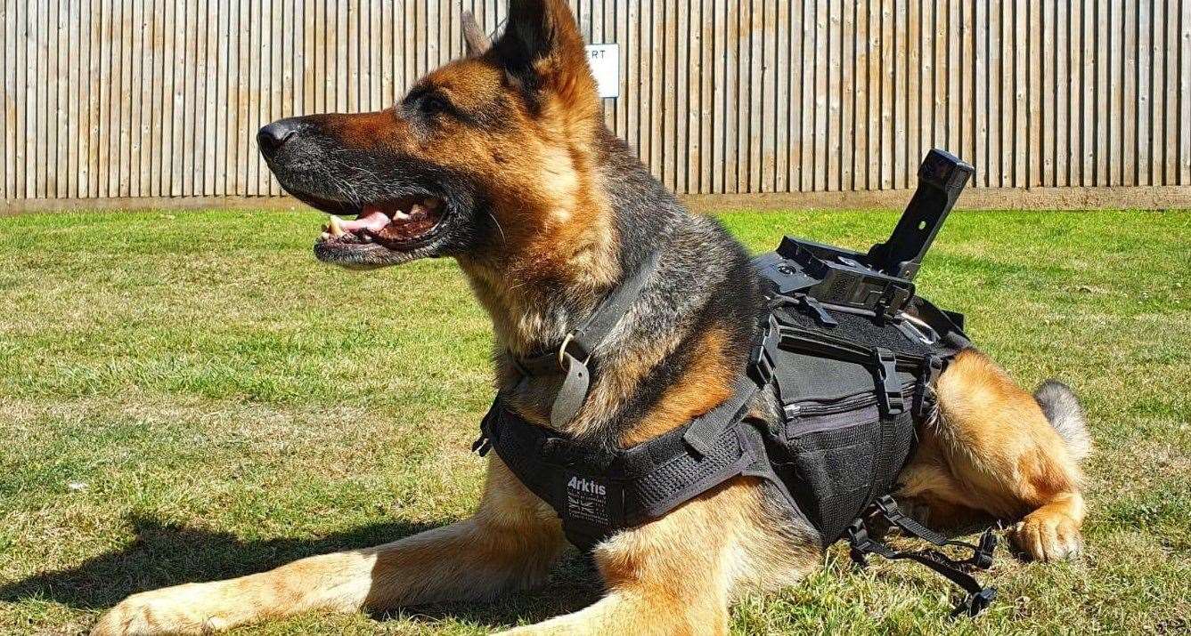 PD Merlin