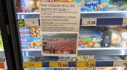 One of the posters found in a supermarket's frozen food aisle