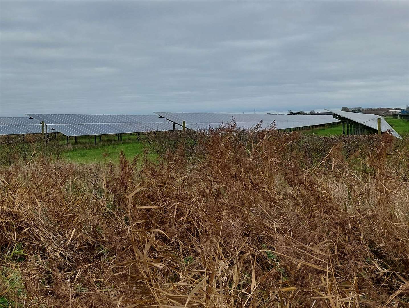 A solar farm is already up and running in Old Romney along Millbank Lane and Beggarsbush Lane