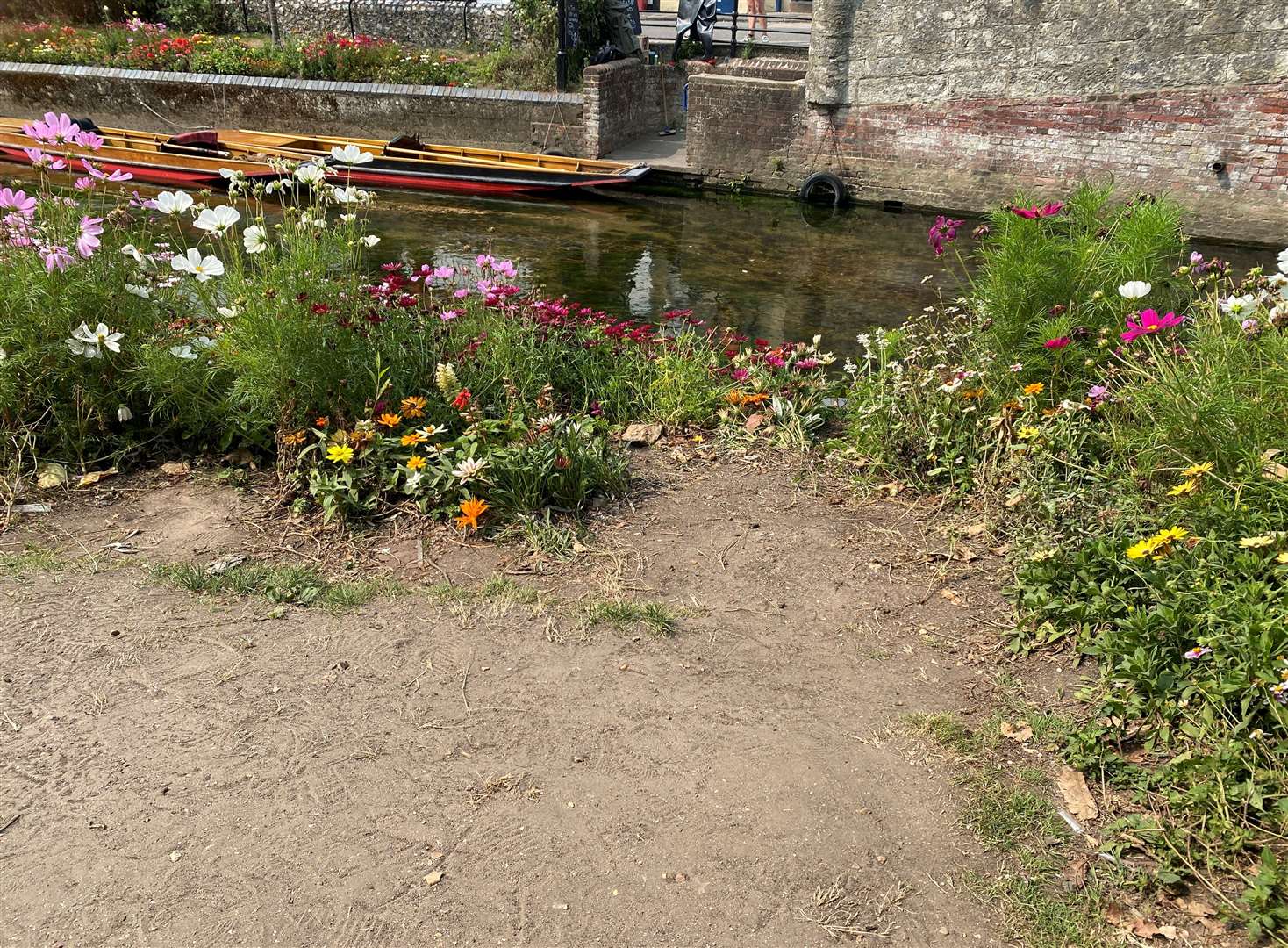 Some people have called for a park warden to be stationed by Westgate Gardens, Canterbury, to keep tourists in check