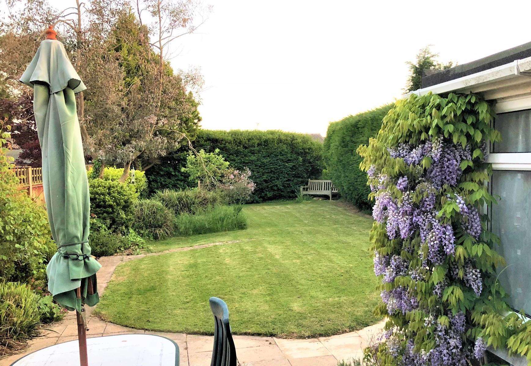 The garden at the house on Littlestone Road. Credit: Shaw Robson and Co. (7488728)