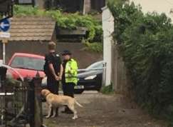 A sniffer dog at the scene