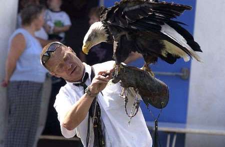 Alaska during a display in August last year. Picture: MATT READING