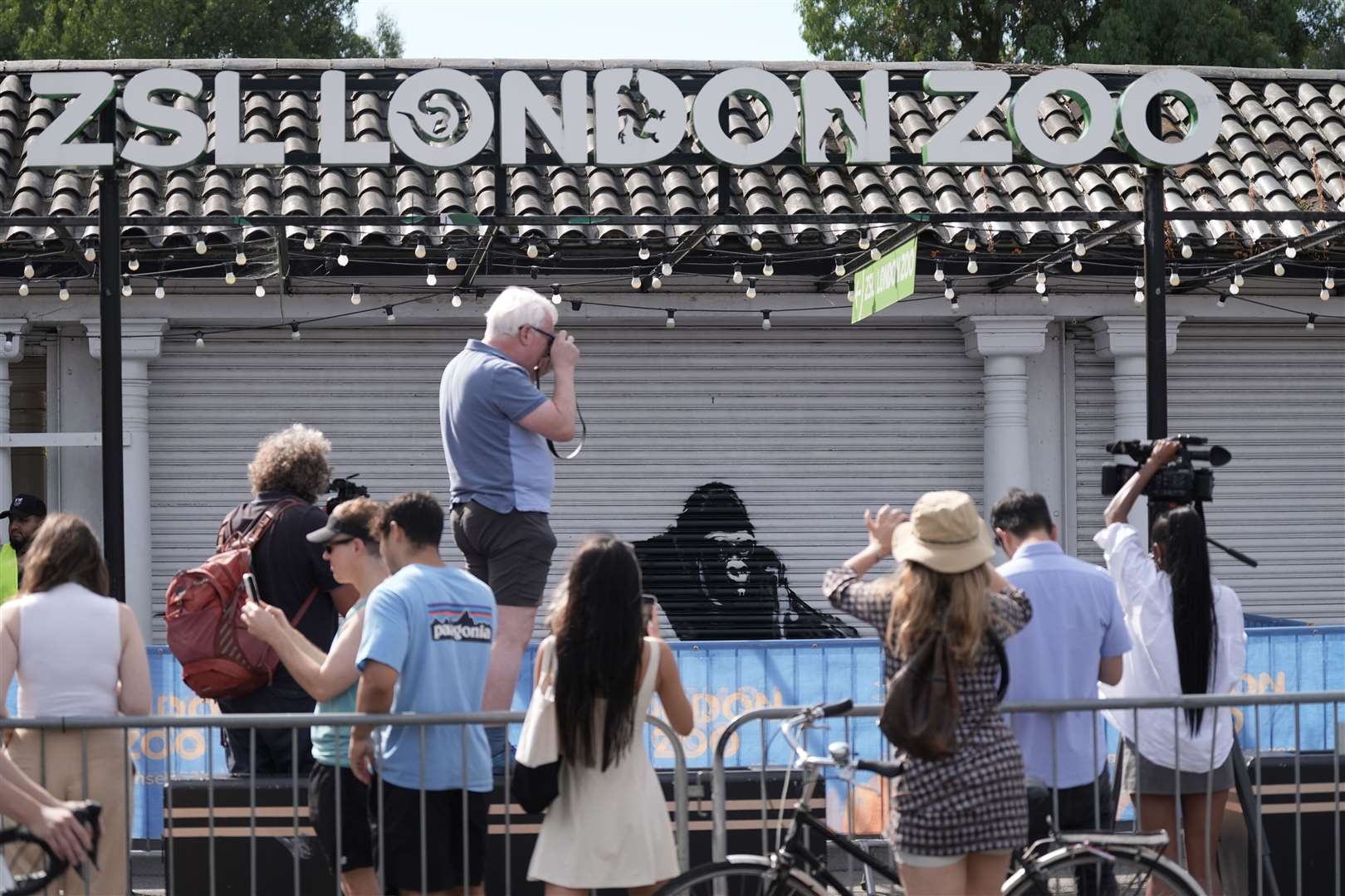 Banksy’s London Zoo artwork was part of his animal-themed collection (Stefan Rousseau/PA)