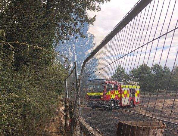 The 57 acres of cornfield at Ashton Way, West Malling, was destroyed by fire (3130410)