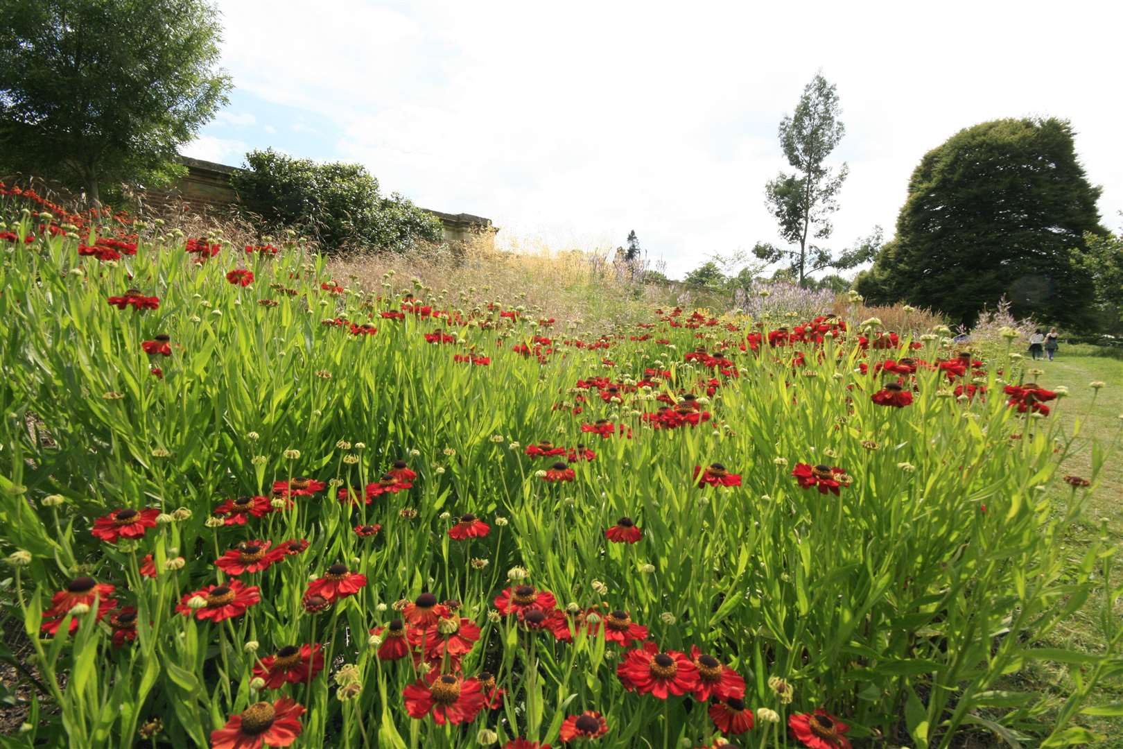 Diana's Walk is a wildlife haven