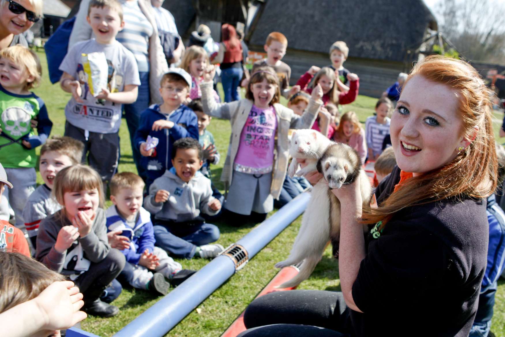 Ferret racing at Kent Life