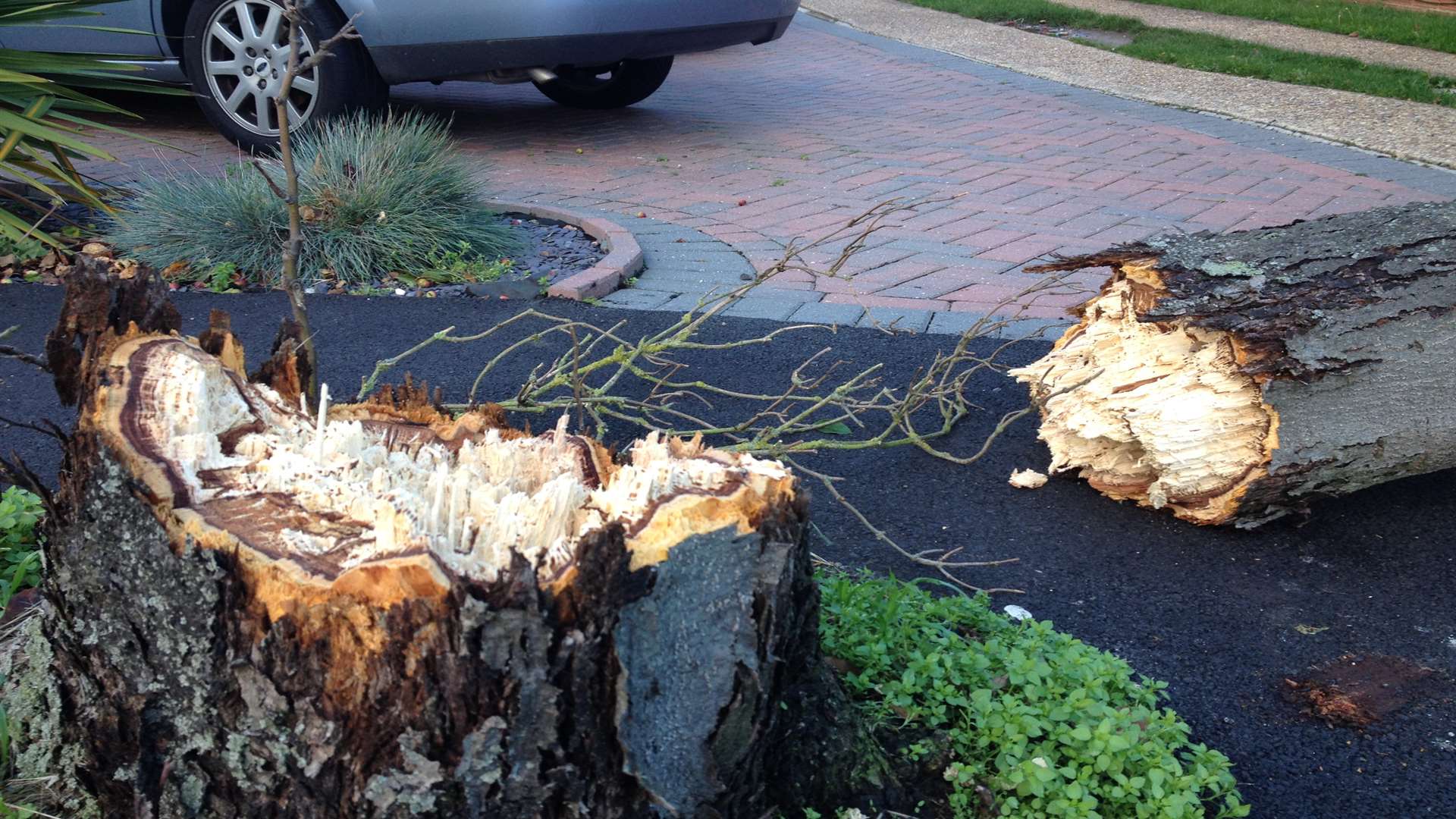 The Met Office has warned of the likelihood of fallen trees