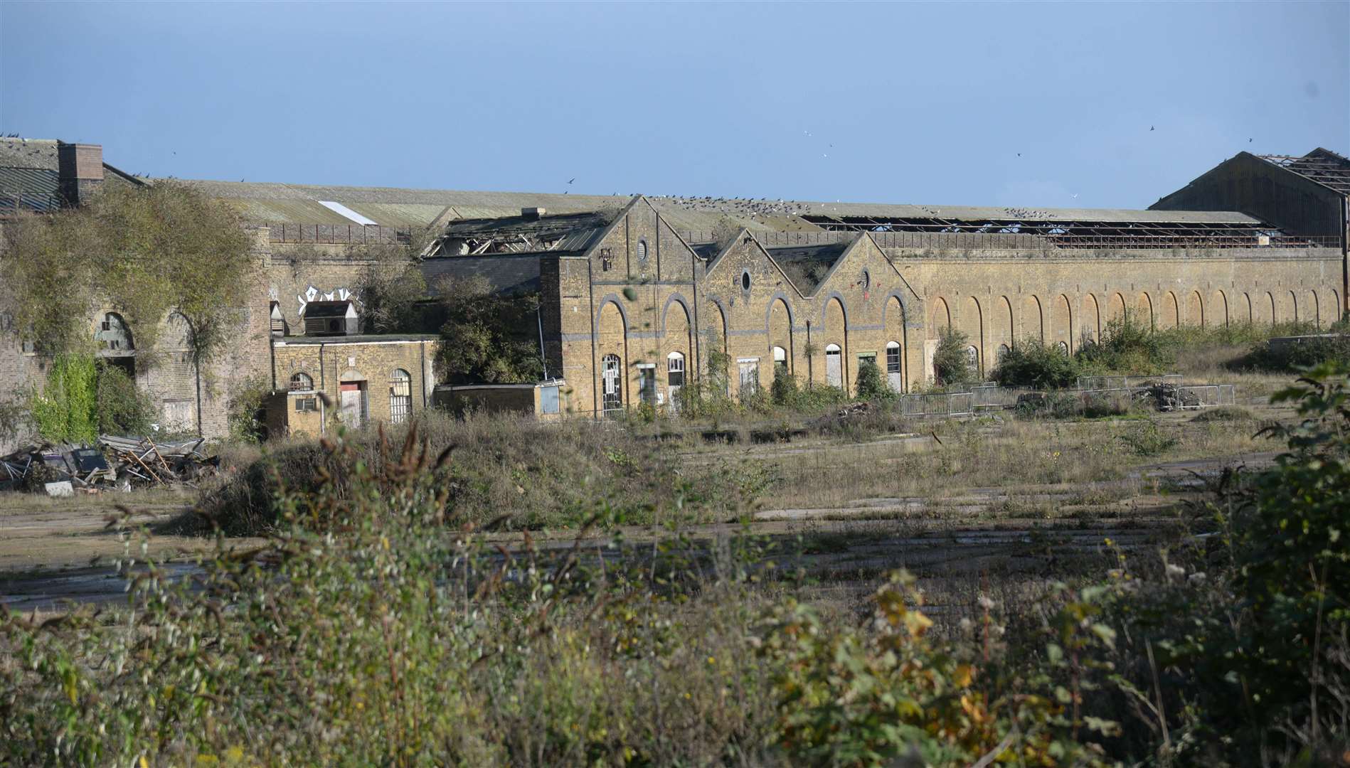 The former Newtown railway works have been vacant since the mid-1980s. Picture: Chris Davey