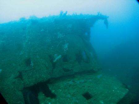 Wreck of the Bianca C