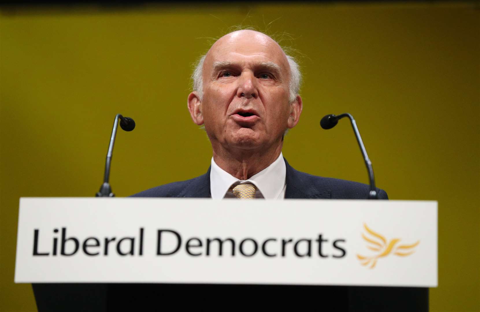 Former Lib Dem leader Sir Vince Cable has contributed a chapter to Ms Moran’s policy book (Jonathan Brady/PA)