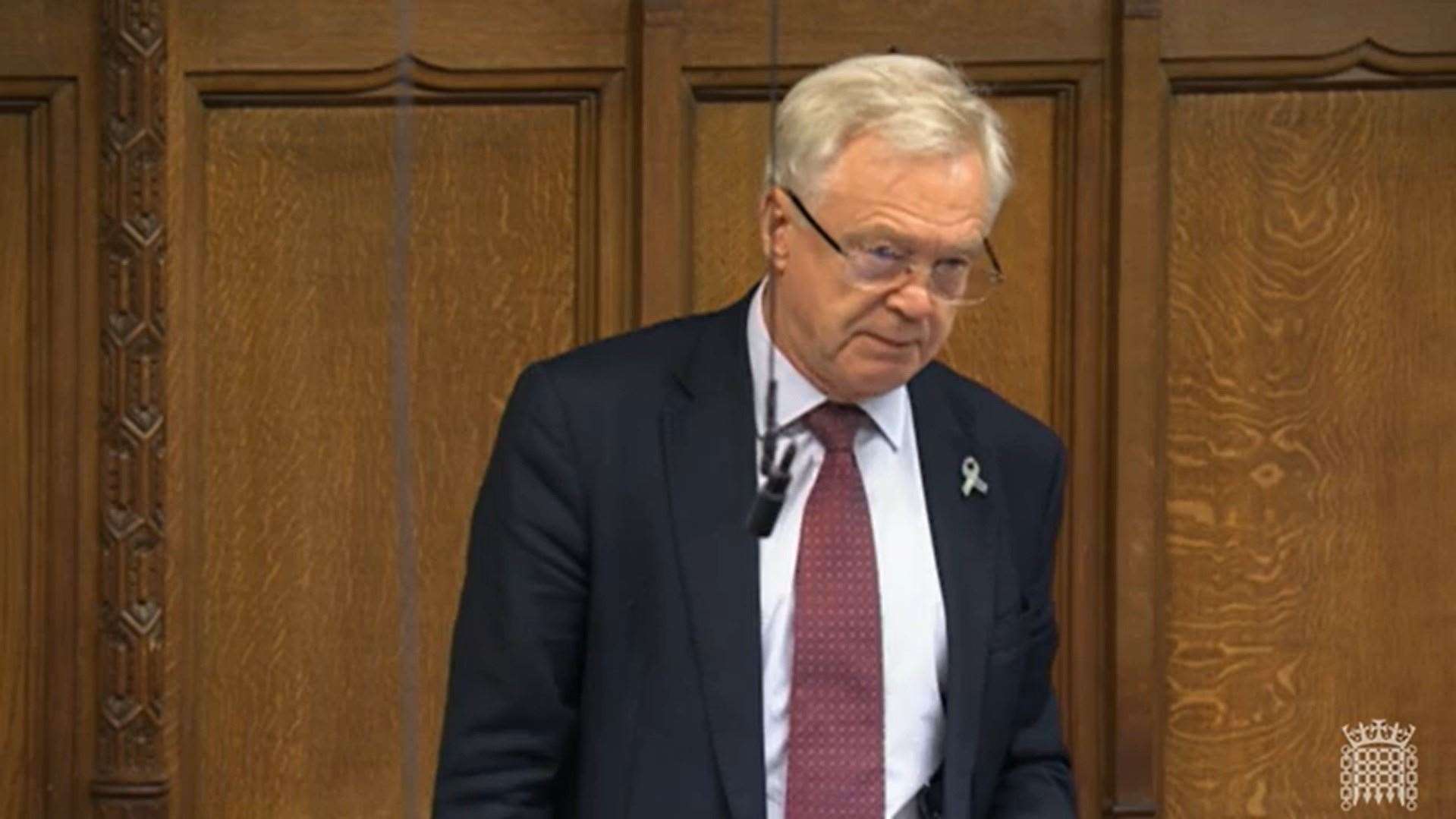 Sir David Davis speaking in Parliament on Thursday morning (UK Parliament/PA)