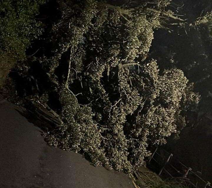 The landslide along the Road of Remembrance in Folkestone. Picture: Danny Griggs