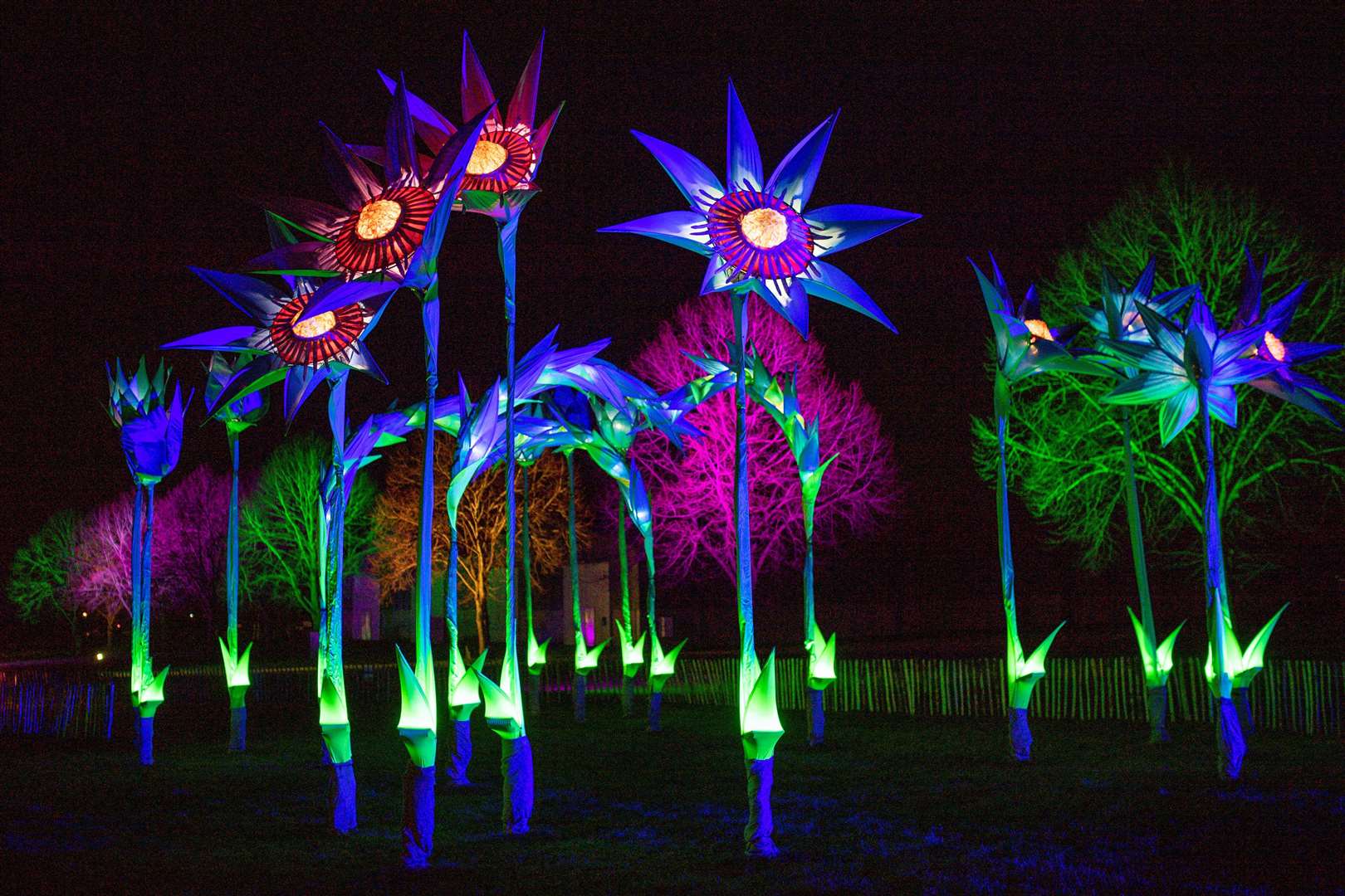 The Malvern Winter Glow is a new illuminated festive trail in the Worcestershire town (Jacob King/PA)