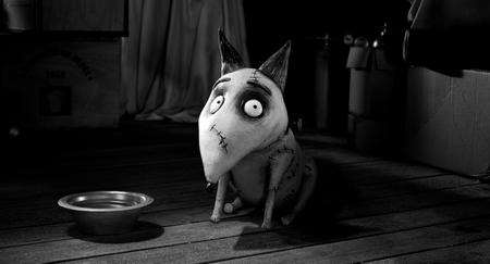 Sparky in Frankenweenie. Picture: 2012 Disney Enterprises