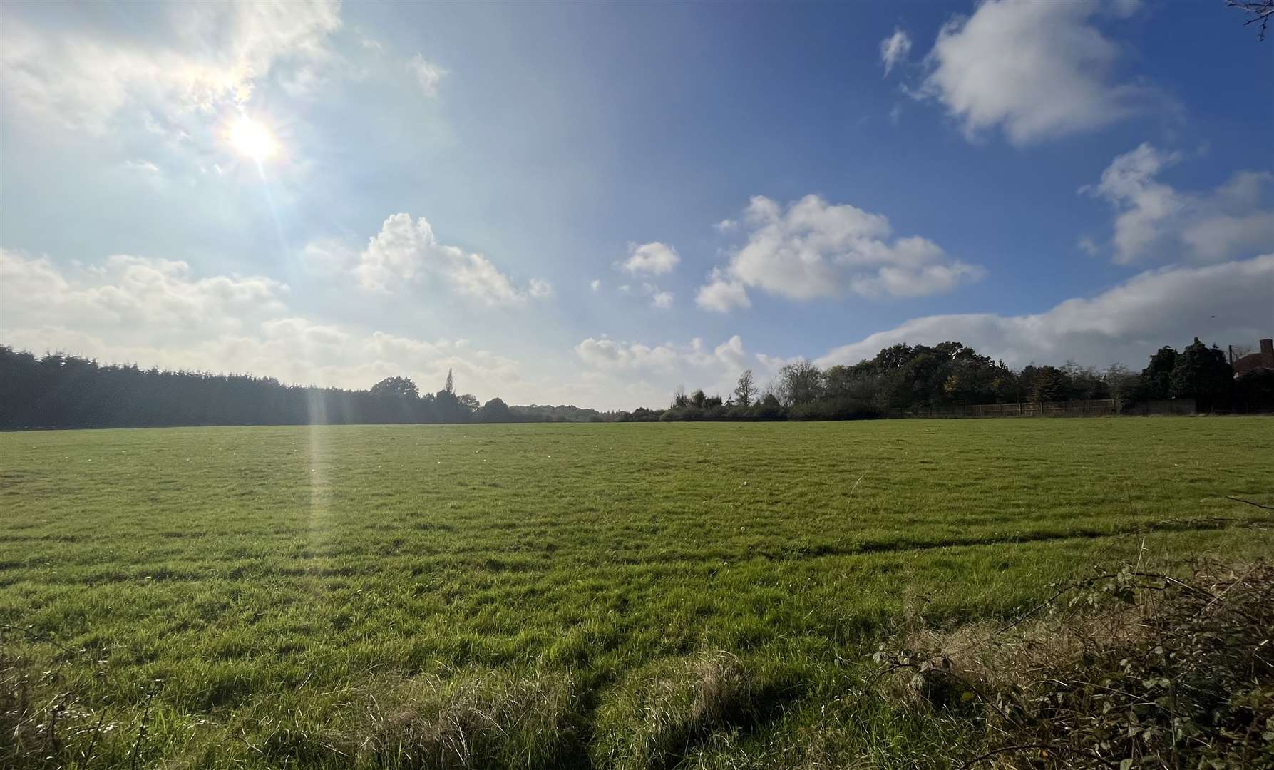 The plot in Woodchurch is currently grassland